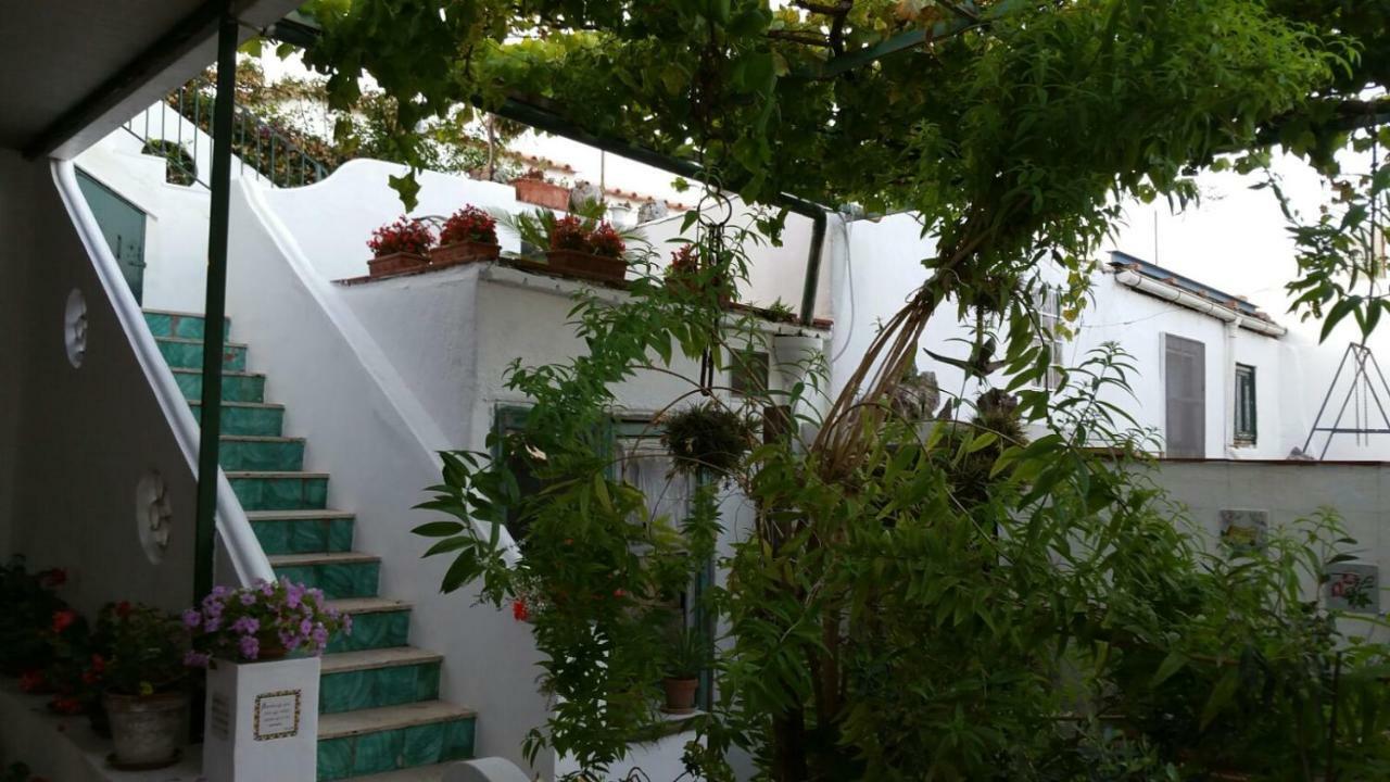 Apartmán Il Gelso Anacapri  Exteriér fotografie